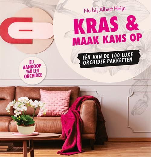 Shopper activatie: orchidee-winactie bij Albert Heijn Shopper activatie: orchidee-winactie bij Albert Heijn