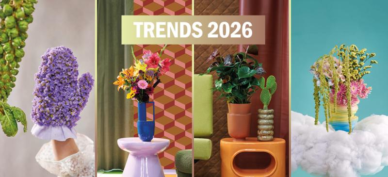 Flower Council of Holland Trends 2026