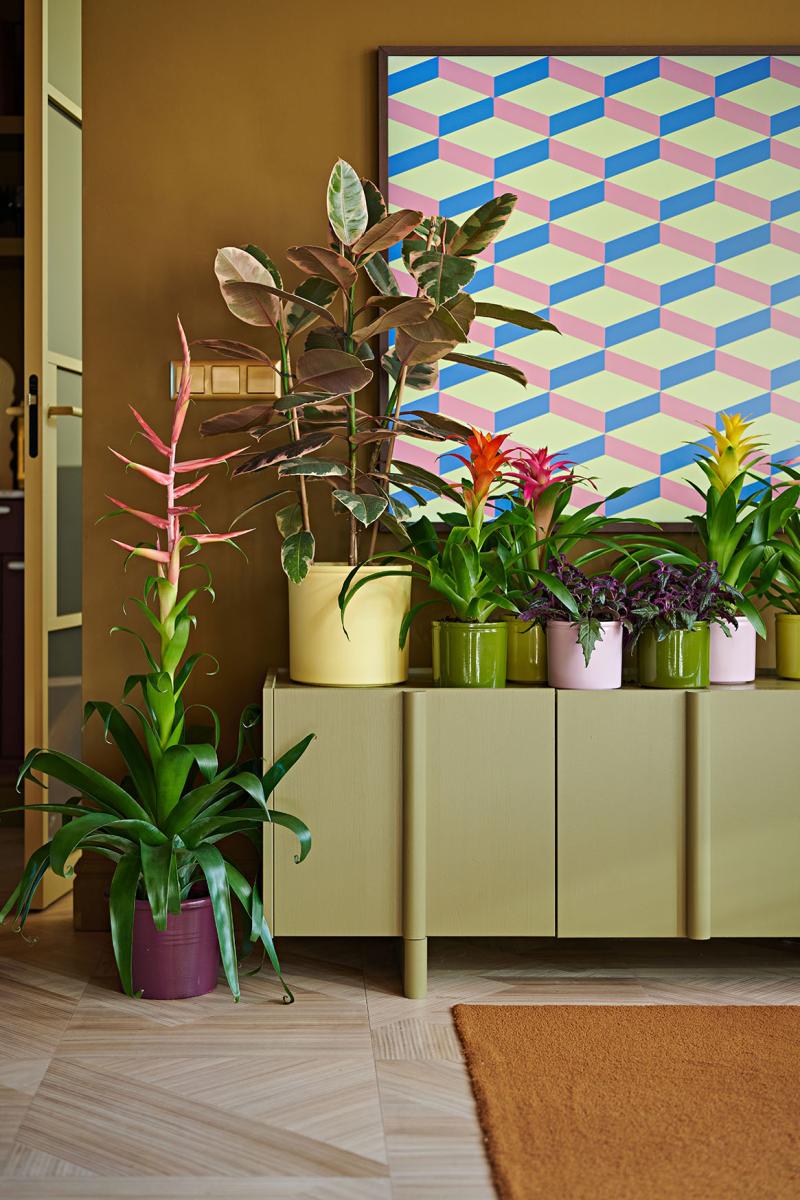 Flower Council of Holland Horticulture Trends 2026 Intriguing Decor