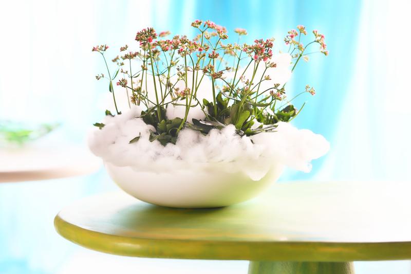 Flower Council of Holland Horticulture Trends 2026 Unexpected Encounter
