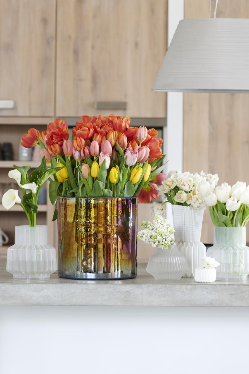 Bloemenagenda januari - Tulp Bloemenagenda januari - Tulp