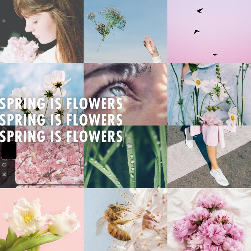 Spring is flowers - Funnyhowflowersdothat Spring is flowers - Funnyhowflowersdothat