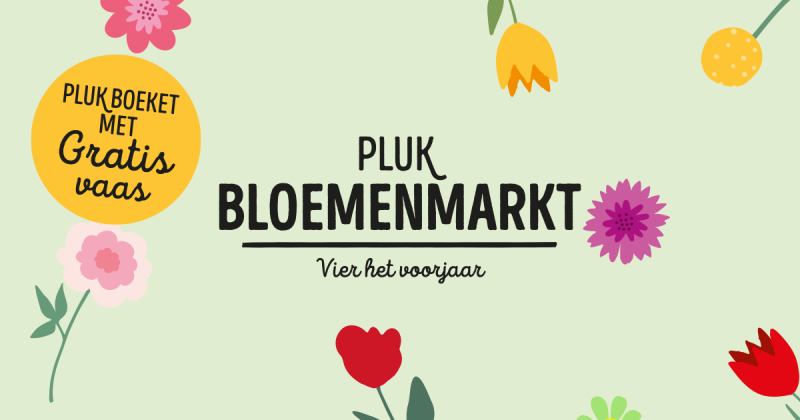 Dutch supermarket chain Jumbo launches PLUK Flower Market Dutch supermarket chain Jumbo launches PLUK Flower Market