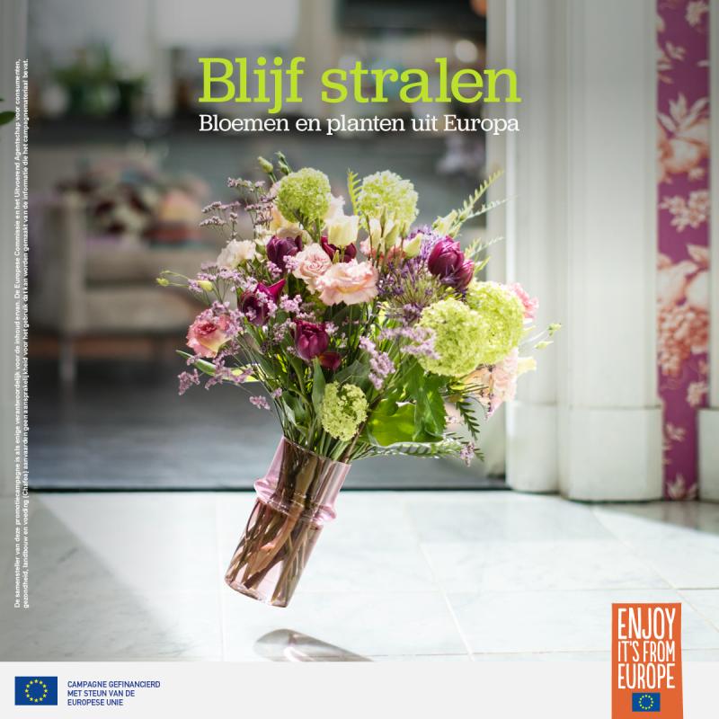 Gezamenlijke promotiecampagne Europese bloemen en planten-2 Joint promotional campaign for European flowers and plants-2