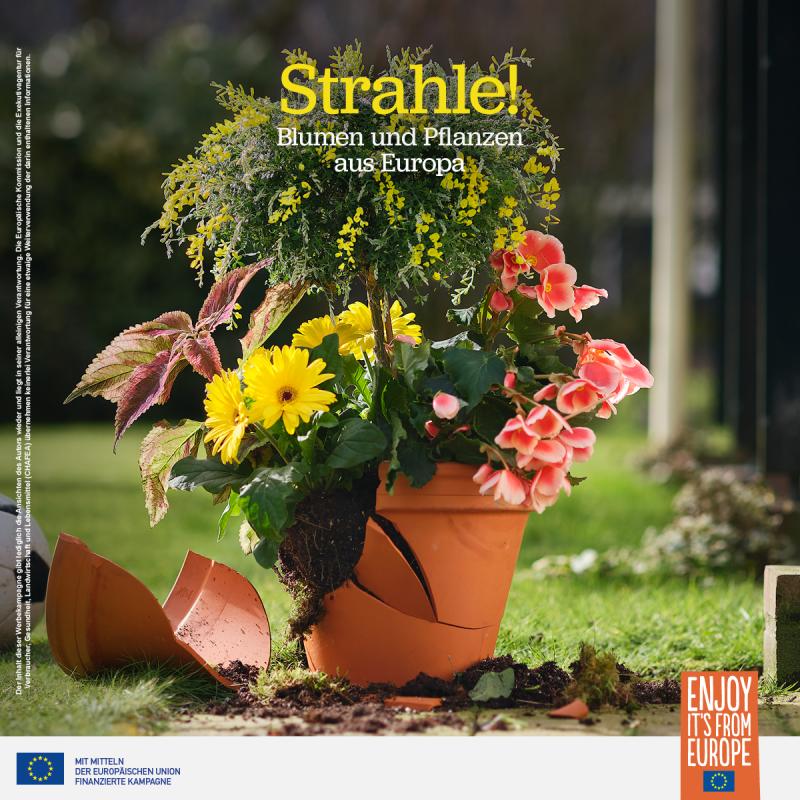 Joint promotional campaign for European flowers and plants Joint promotional campaign for European flowers and plants