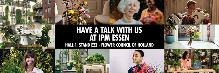 Have a talk with the Flower Council of Holland Have a talk with the Flower Council of Holland