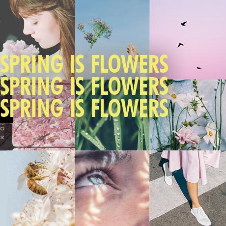Spring is Flowers Spring is Flowers