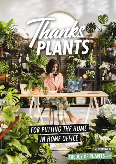 Thanks Plants: Working (from home)