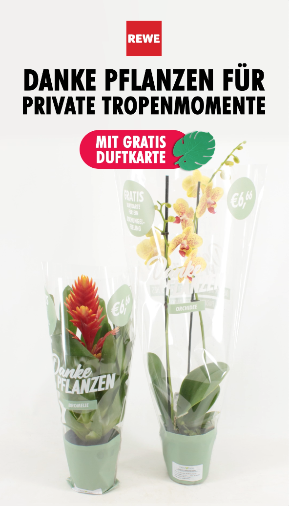 Shopper activatie bromelia en orchidee bij REWE 