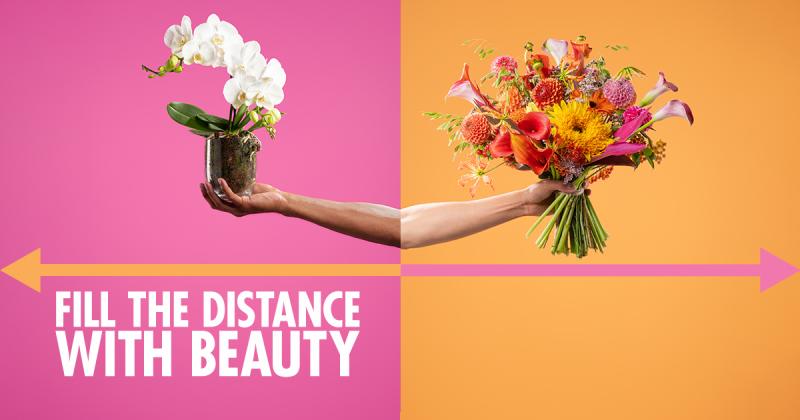 Fill the distance with beauty campaign key image