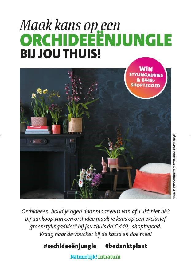 Shopper activatie met Intratuin: kans op groenstylingadvies en shoptegoed