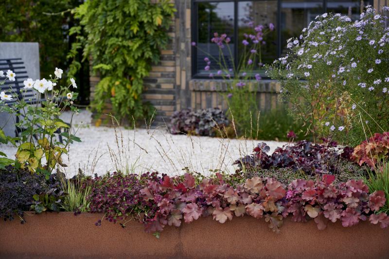 Heerlijk nazomeren met buitenplanten op Mooiwatplantendoen.nl Heerlijk nazomeren met buitenplanten op Mooiwatplantendoen.nl