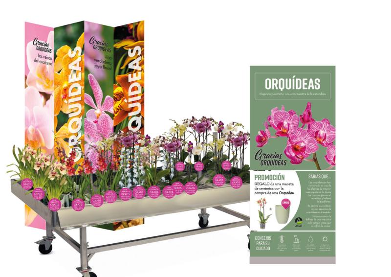 Gracias Plantas: Second shopper activation with ALIAT in Spain