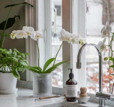 Consumenten reageren massaal op shopper activaties met orchideeën Consumenten reageren massaal op shopper activaties met orchideeën