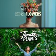 Flower Council of Holland at IPM Essen in January 2020 Flower Council of Holland at IPM Essen in January 2020