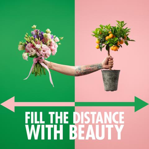 Results of ‘Fill the distance with beauty’ campaign